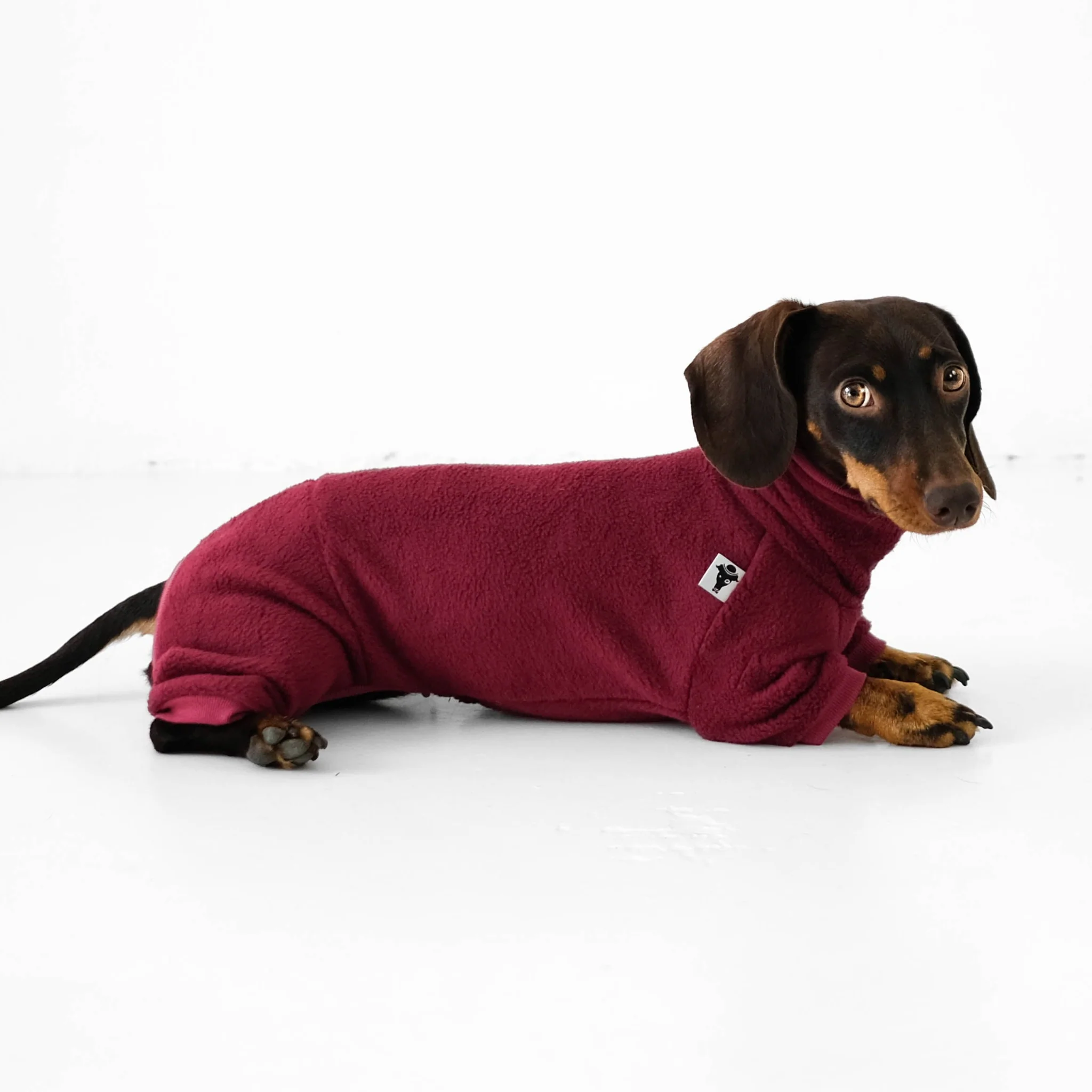 Schlabberlatz für Hunde, angenehmes Fleece, with Reißverschluss, praktische Hunde-Bekleidung, komfortable Hundejacke, Kiezhund Hundeshop, optimaler Wetterschutz für Hunde, strapazierfähige Hundebekleidung, modischer Hundeschutz, leichte Hundemantel, hygienische Hundereinigung.