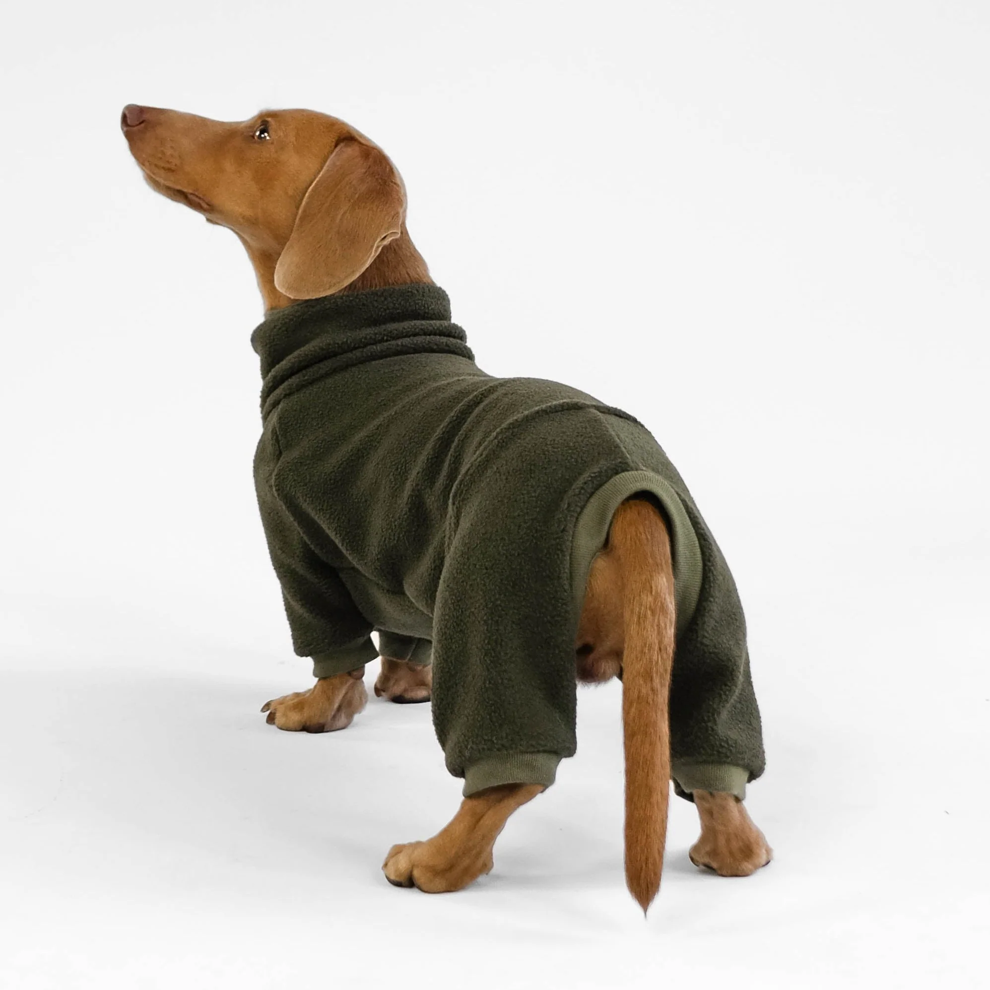 Kiezhund Hundeshop, Hundepullover aus warmem Fleecestoff für Hunde, bequeme und praktische Hundebekleidung, Hundezubehör für kalte Tage, hochwertige Hundekleidung online kaufen.