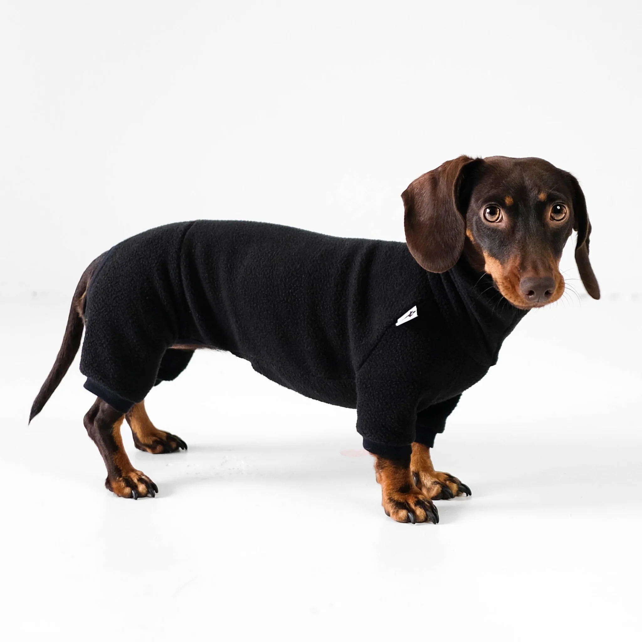 Bequemer Hundepullover aus warmem, weichem Fleece für kleine und große Hunde, ideal für kalte Tage, bei Kiezhund Hundeshop erhältlich.