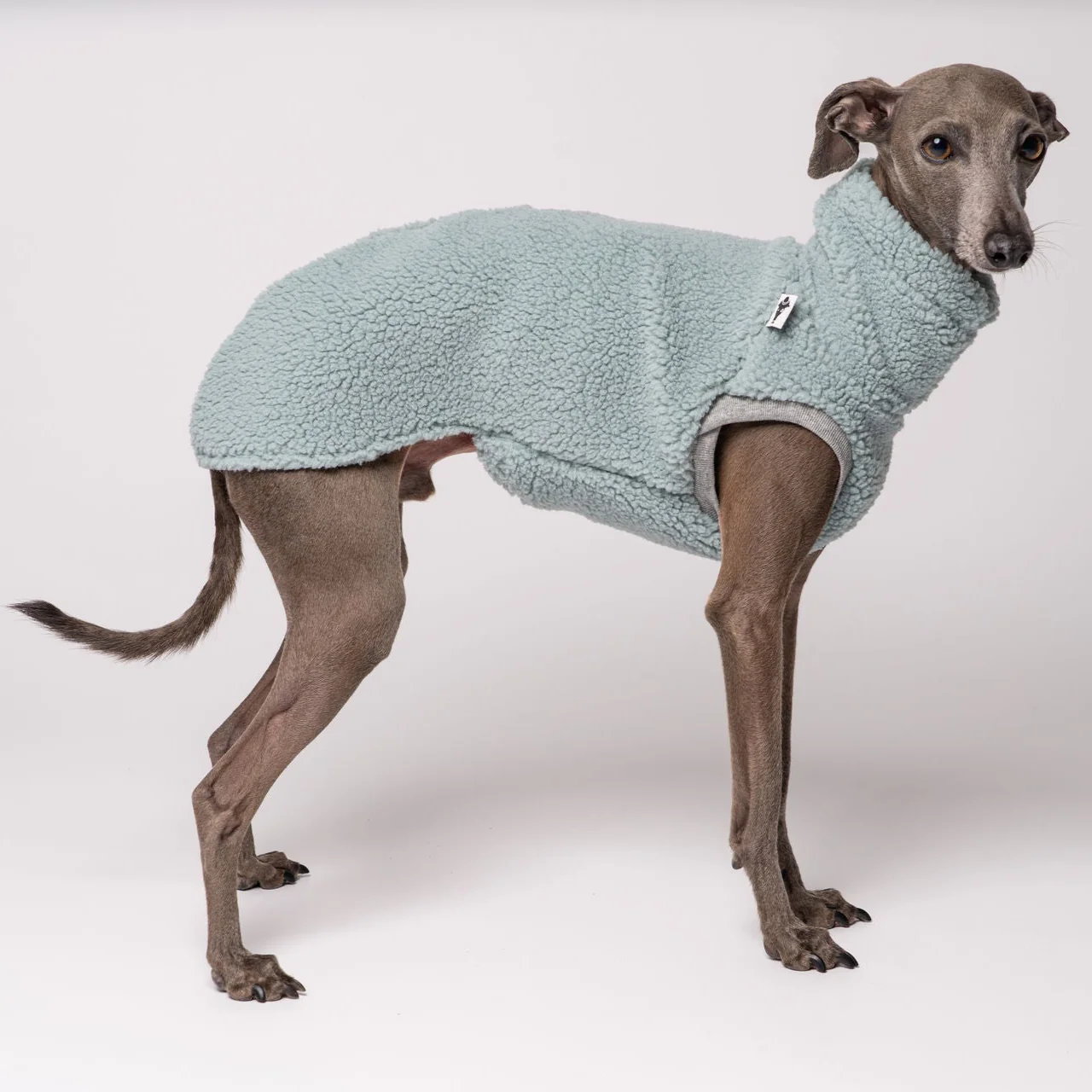 Karma Hund Teddy Shirt Windspiel Mint