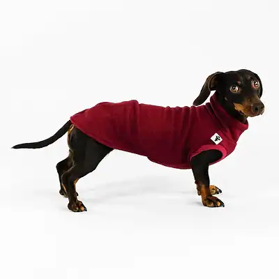 Hundedackel in Rot für kleine bis mittelgroße Hunde, kuschelig und hochwertig, ideal für den Hundeshop Kiezhund. Perfekt für kalte Tage, Komfort und Stil vereint.