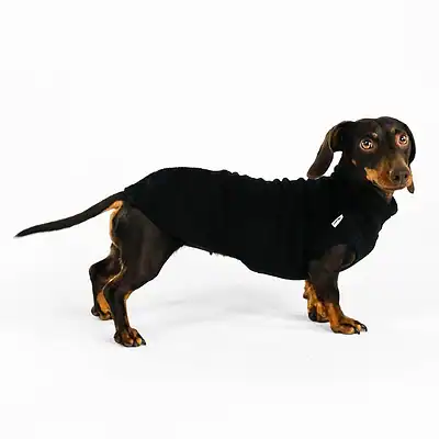 Hundemantel für Dackel, schwarzer Wärmeschutz, Haustierjacke, Hundespaziergang, Hundezubehör, Kiezhund Hundeshop.