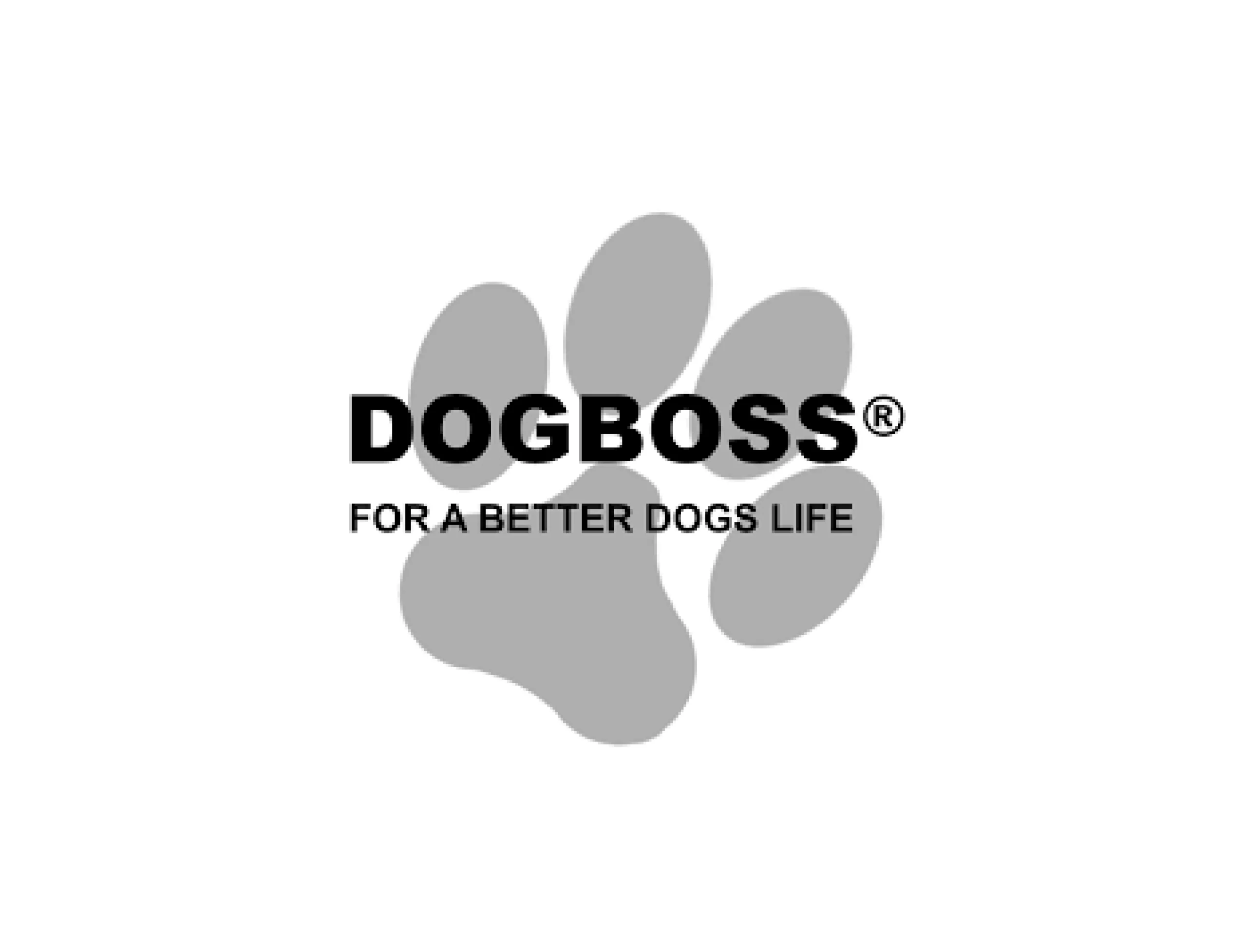 Hundeaccessoires, Hundeshop, Hundezubehör, Hundeleben, Kiezhund Hundeshop, Hundespielzeug, Hundebekleidung, Hundetraining, Hundepflege, Hundebedarf, hochwertiges Hundezubehör für Hunde.