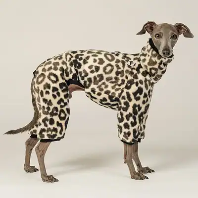 Leopard-Print Hundepullover für kleine und mittelgroße Hunde, warm und bequem, ideal für kalte Tage, hochwertige Qualität, kuscheliges Fell, modischer Tiermoden-Look.