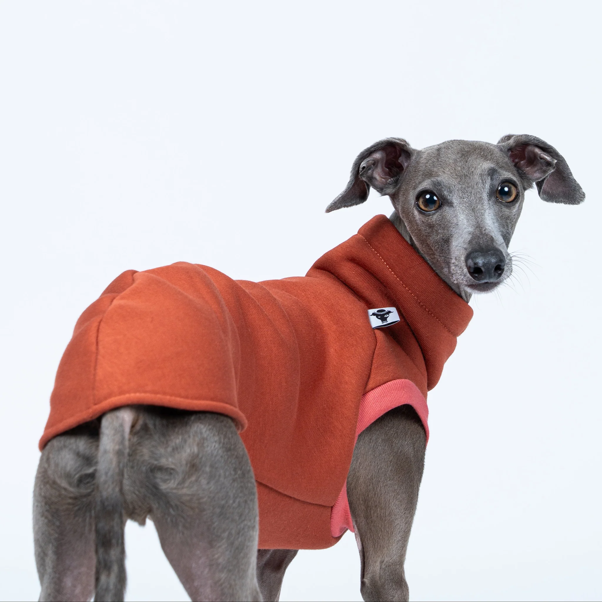 Kiezhund Hundeshop – Hundebekleidung Hundemantel für Schutz & Komfort, hochwertiges Hundezubehör, modische Hundekleidung, Hundejacken, Hundemäntel, Hundezubehör online kaufen, Hundeaccessoires.