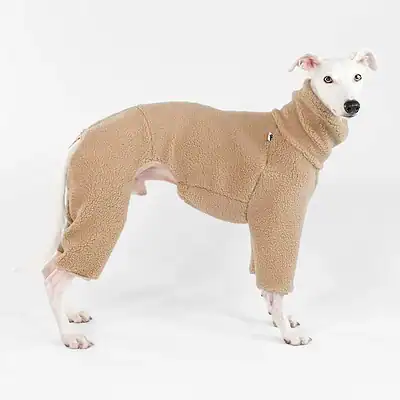Karma Hund Teddy Overall Windhund Camel