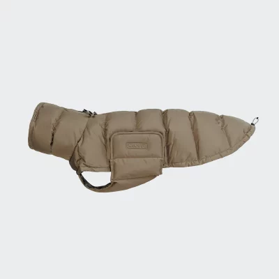 Alaska Windhund Sandy Brown