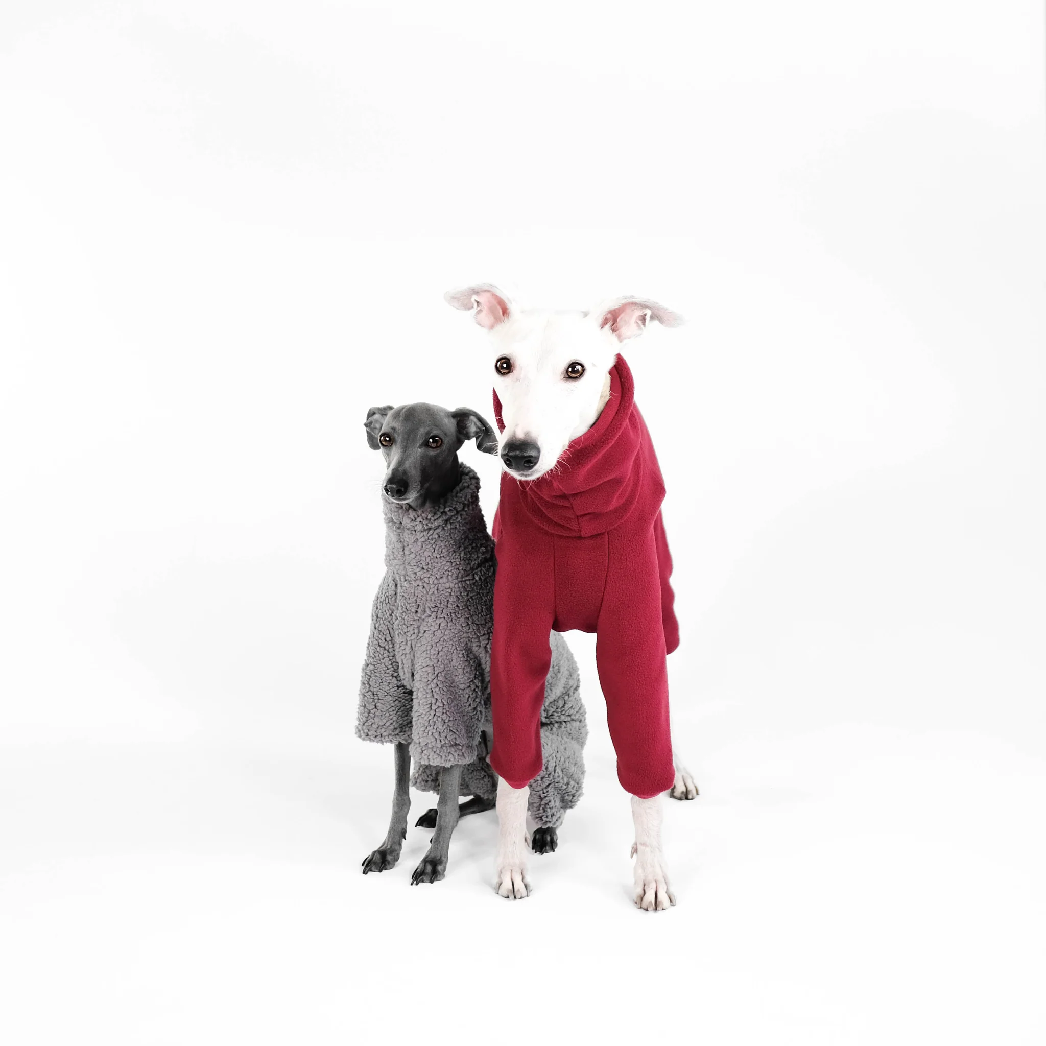 Karma Hund - Overall WINDHUND Bordeaux – Bild 5