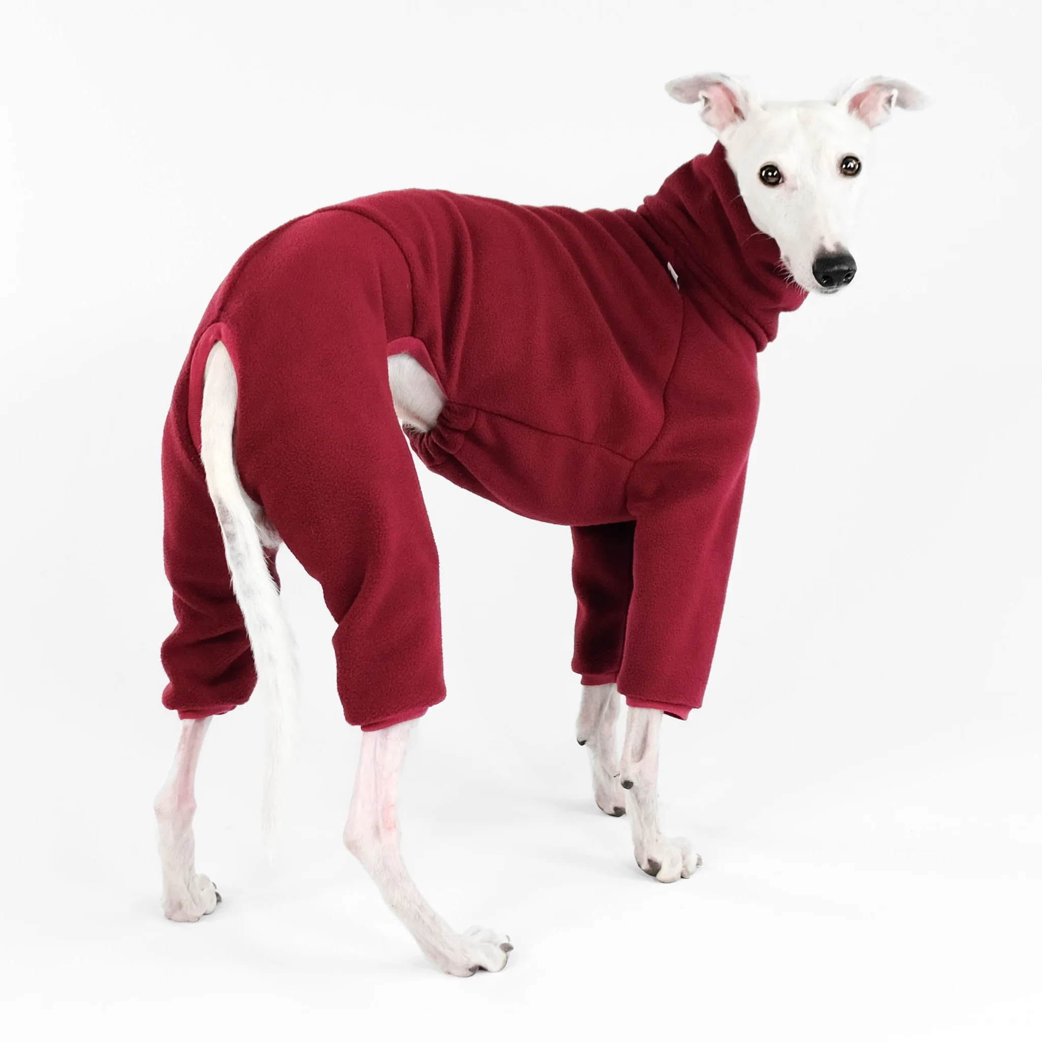 Karma Hund - Overall WINDHUND Bordeaux – Bild 2