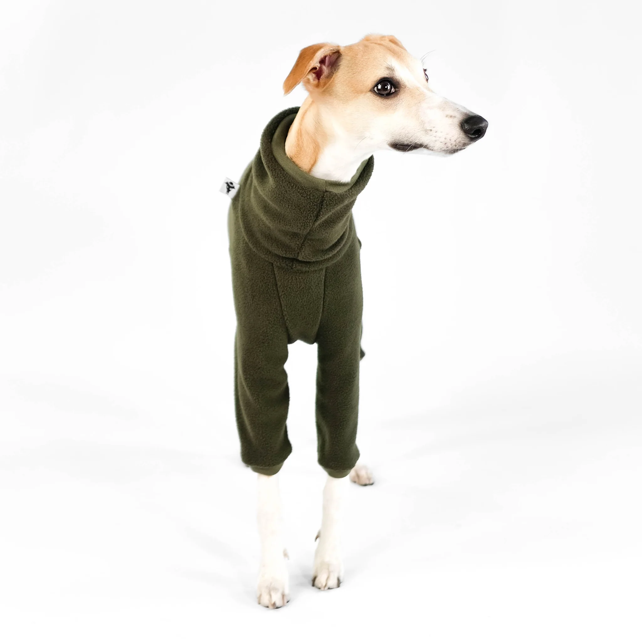 Karma Hund - Overall WINDHUND Dark Olive – Bild 3