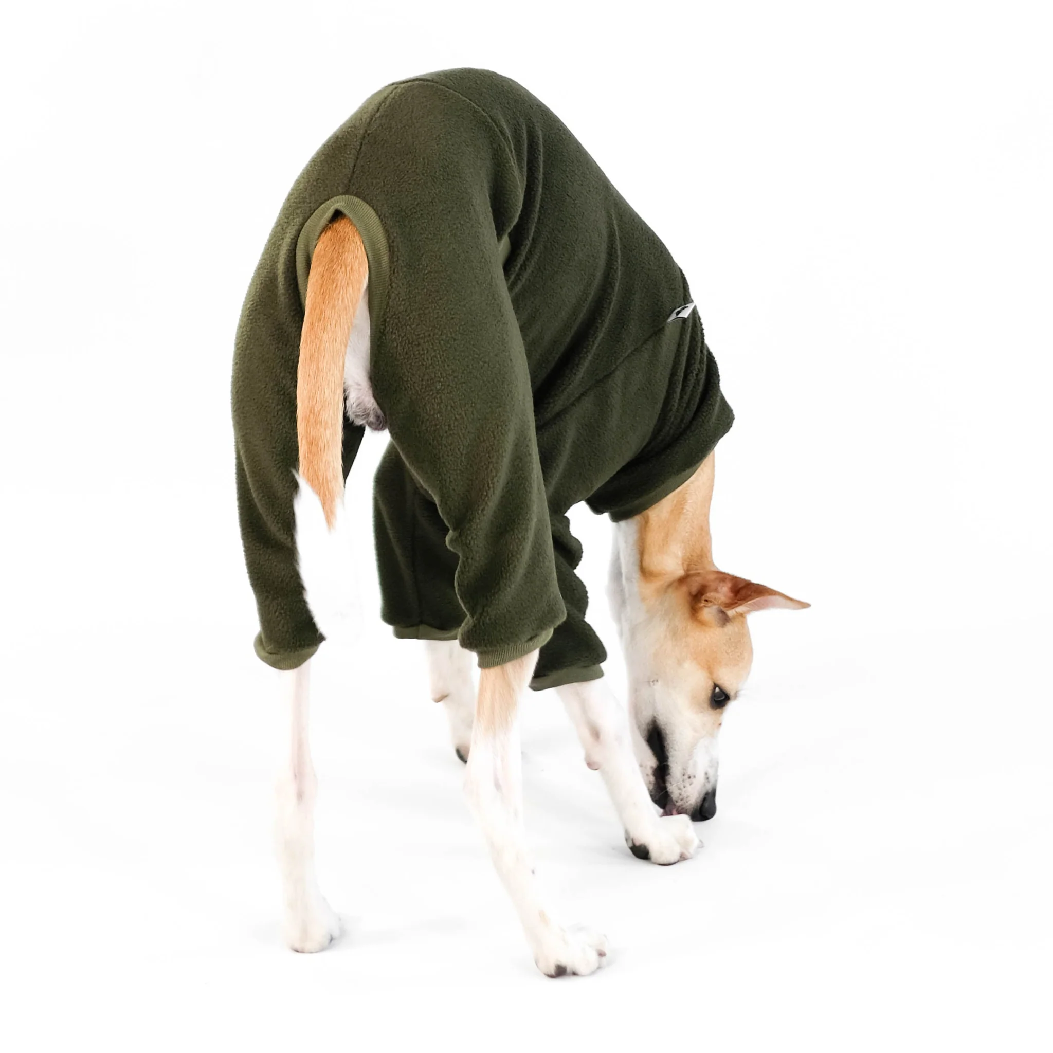 Karma Hund - Overall WINDHUND Dark Olive – Bild 6