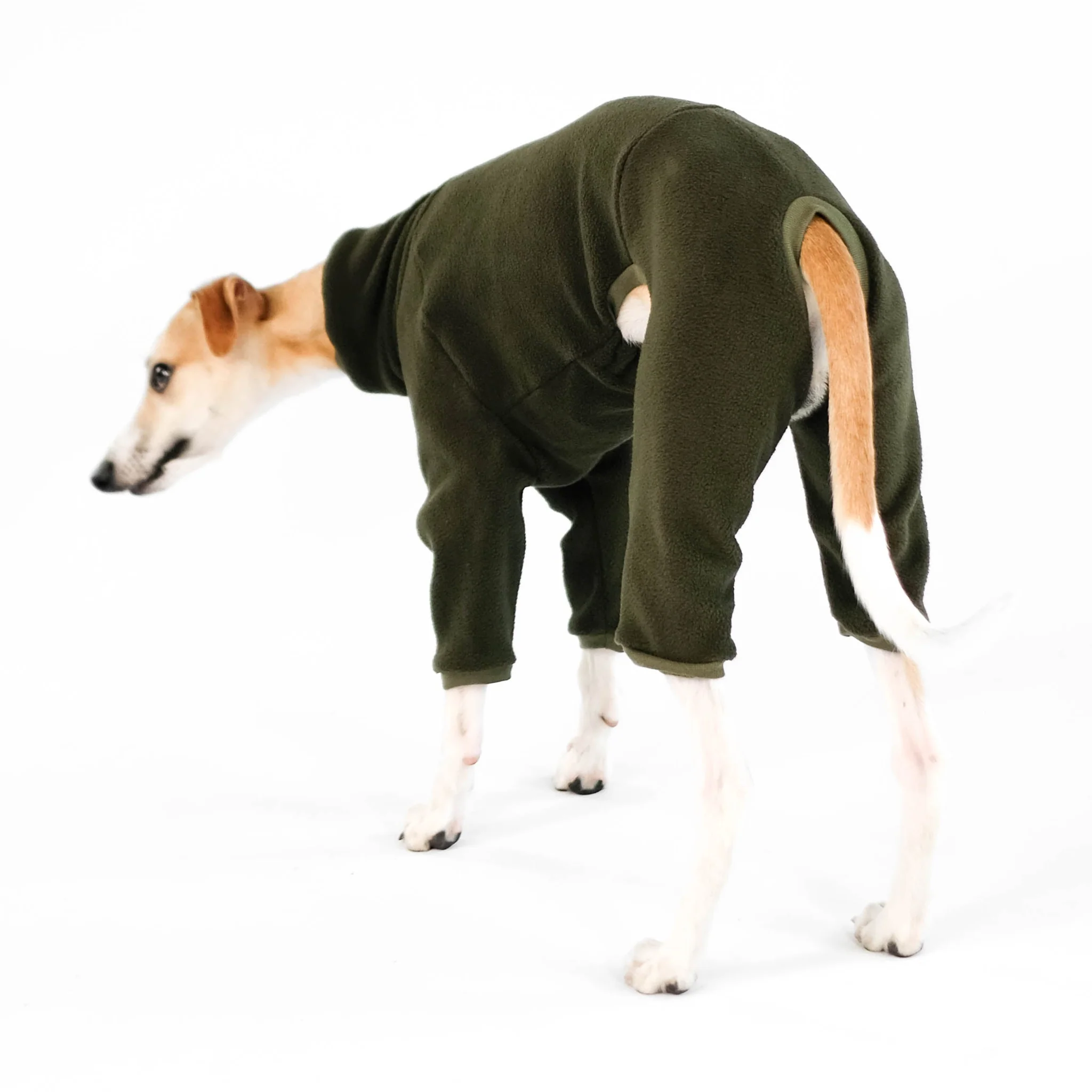 Karma Hund - Overall WINDHUND Dark Olive – Bild 5