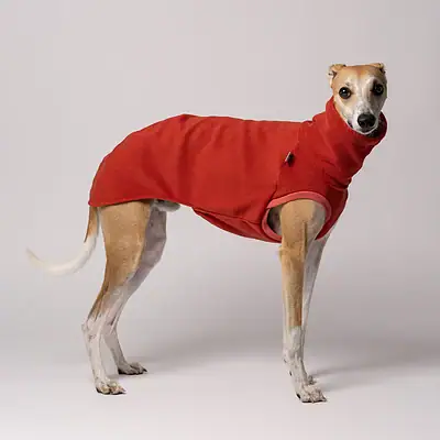 Hunde-Mantel in Rot; ideal für kalte Tage, schützt vor Kälte, perfekt für kleine bis mittelgroße Hunde, hochwertiges Material, angenehmer Tragekomfort, strapazierfähig, Mode für Hunde, praktische Hundebekleidung.