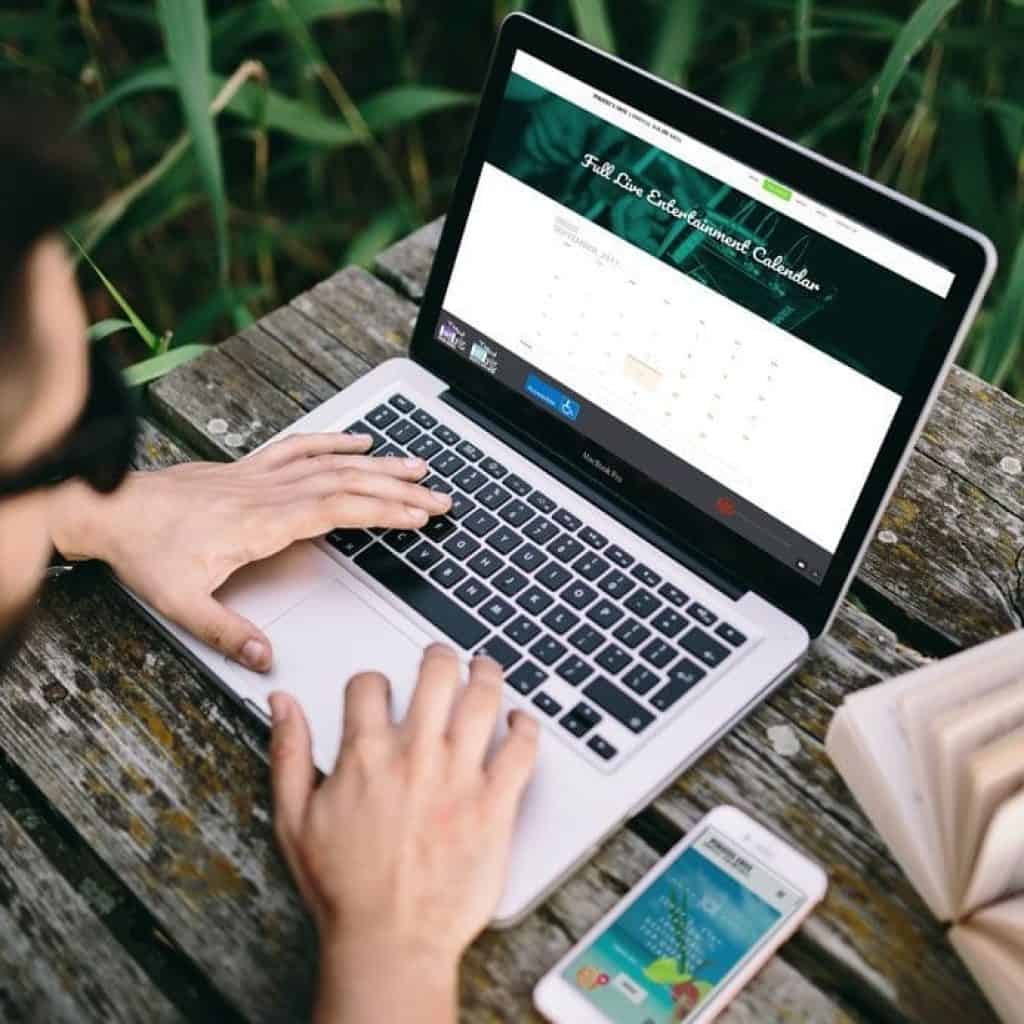 website pic