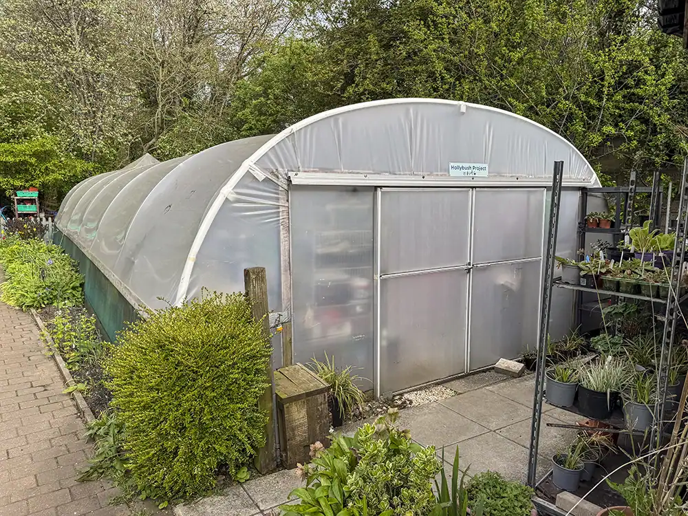 A long, arched polytunnel with a steel frame and stretched polyethylene cover, set up in a garden with visible rows of green leafy plants inside.