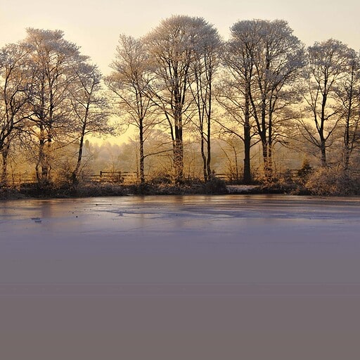 Fredelig vinterlandskab ved Knudhule Badehotel, omgivet af frostklare træer og stillestående vand.