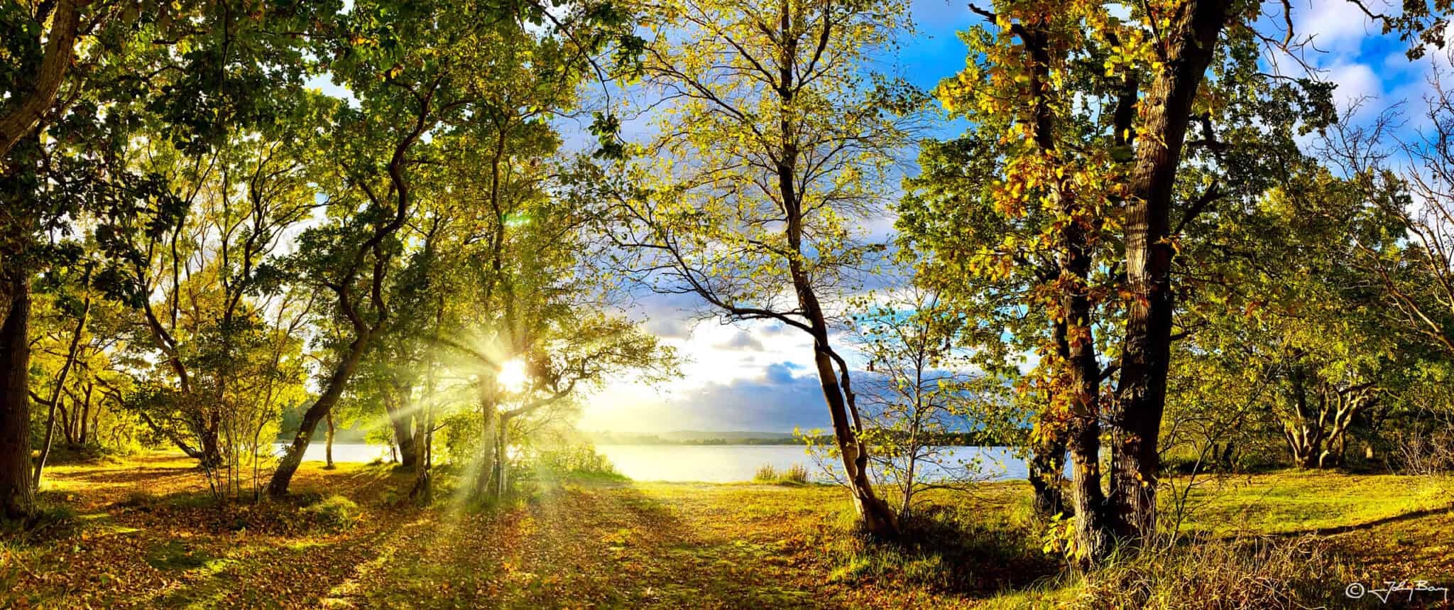 Fredeligt naturlandskab ved Knudhule Badehotel med solskin og grønne træer.