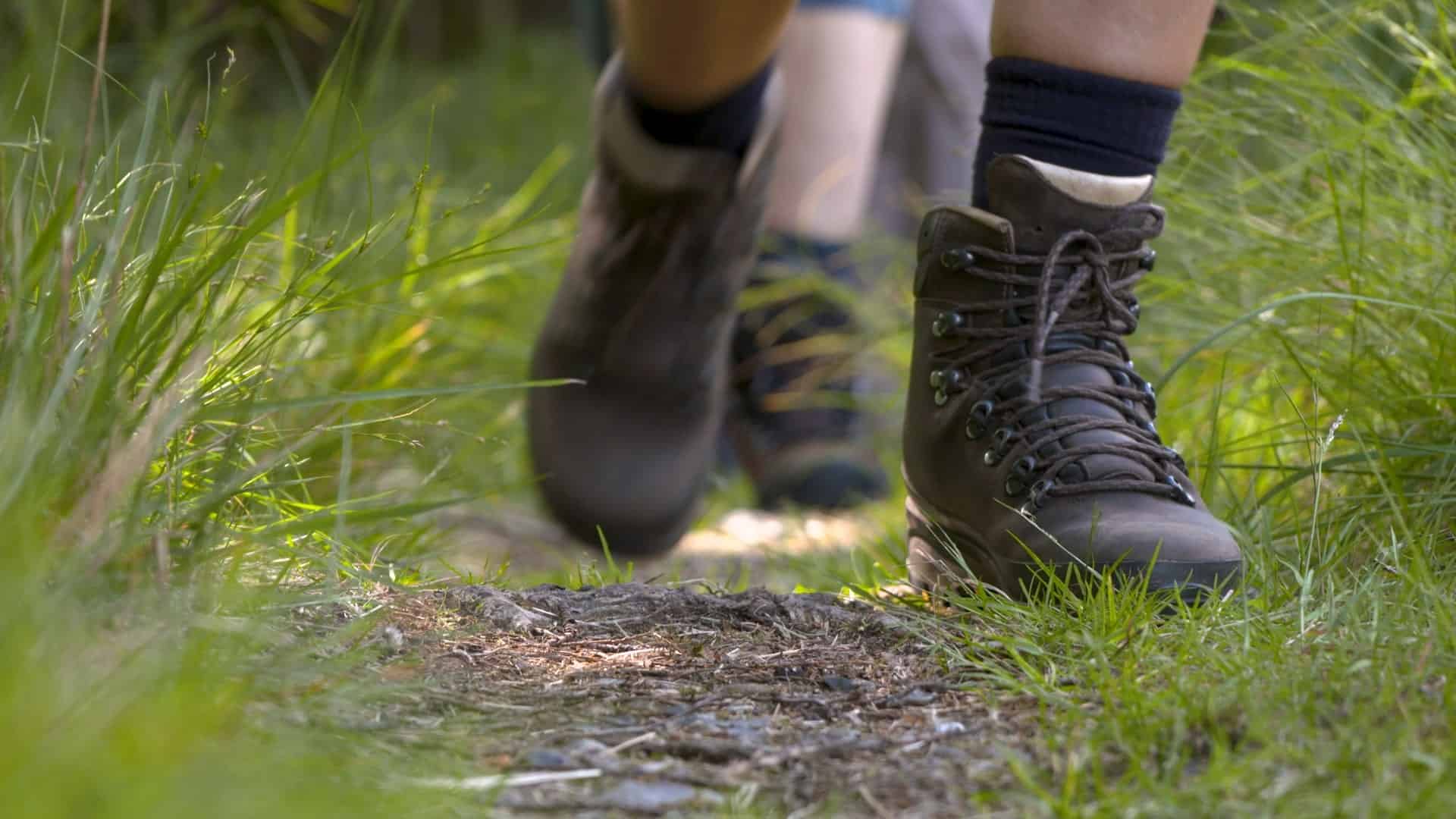 Gore-Trek støvler til vandreture i naturen.