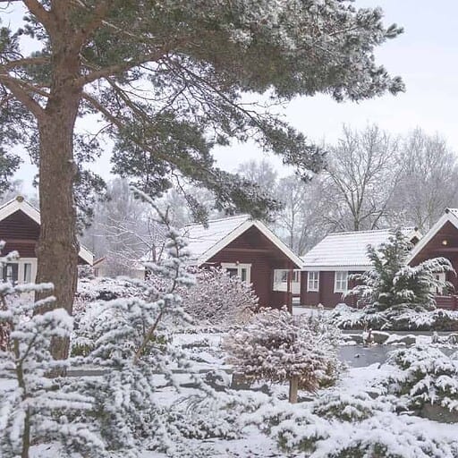 Hyggelige træhytter i sneuge ved Knudhule Badehotel.