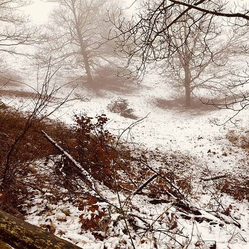 Snedækket natur ved Knudhule Badehotel i vinterlandskab.