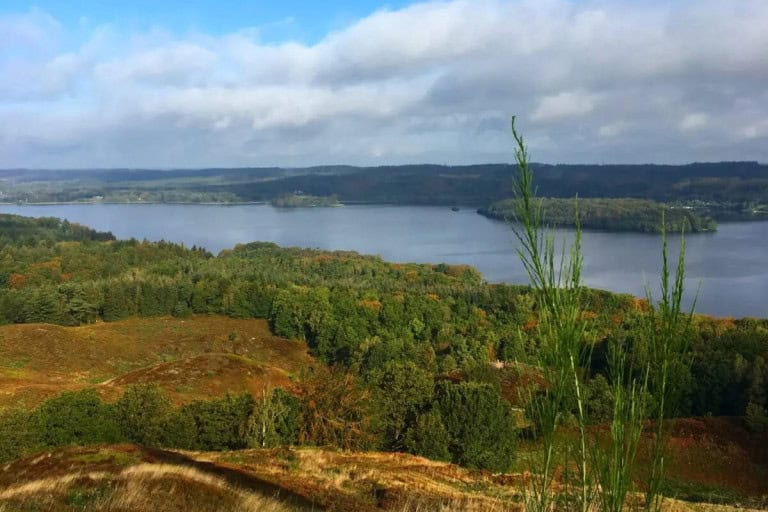 Grønne skove og sø med udsigt over naturen ved Knudhule Badehotel.