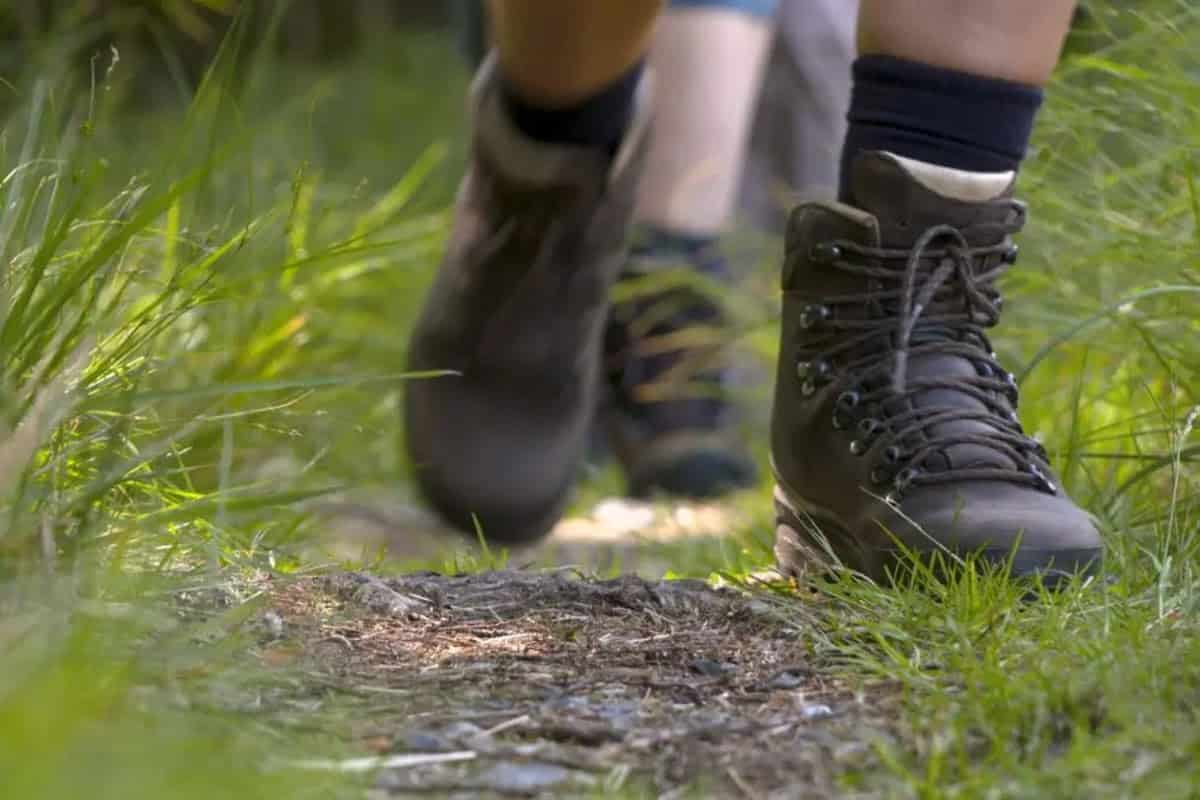 Farverige vandrestøvler på stien gennem naturen, perfekte til oplevelser ved Knudhule Badehotel.