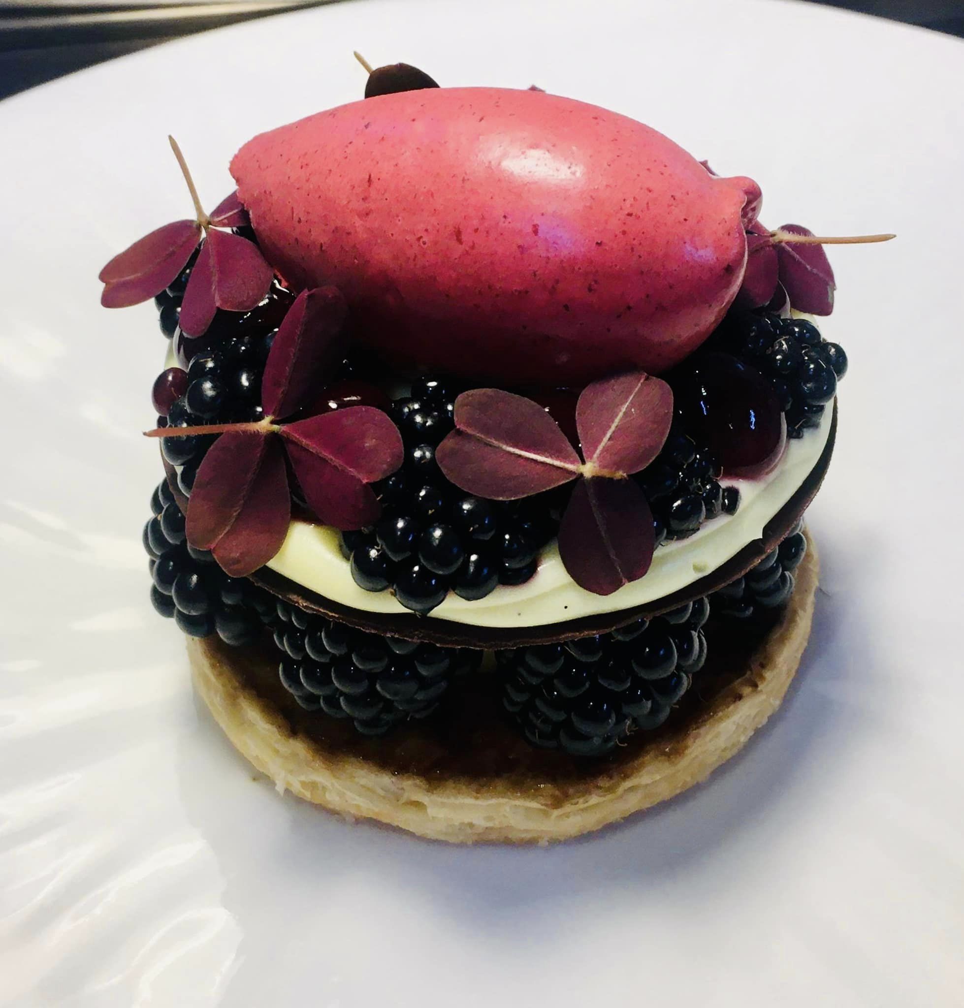 Sorts bedste billeder af Knudhule Badehotel, luksuriøs mad og afslapning.