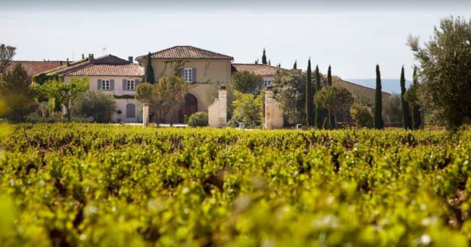 Knudhule Badehotel med vinrække omgivet af vinmarker og hyggelig hotelindretning.
