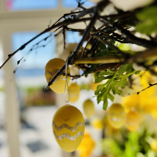 3e90f835-34d1-42ef-99cf-bcbacac1f21c