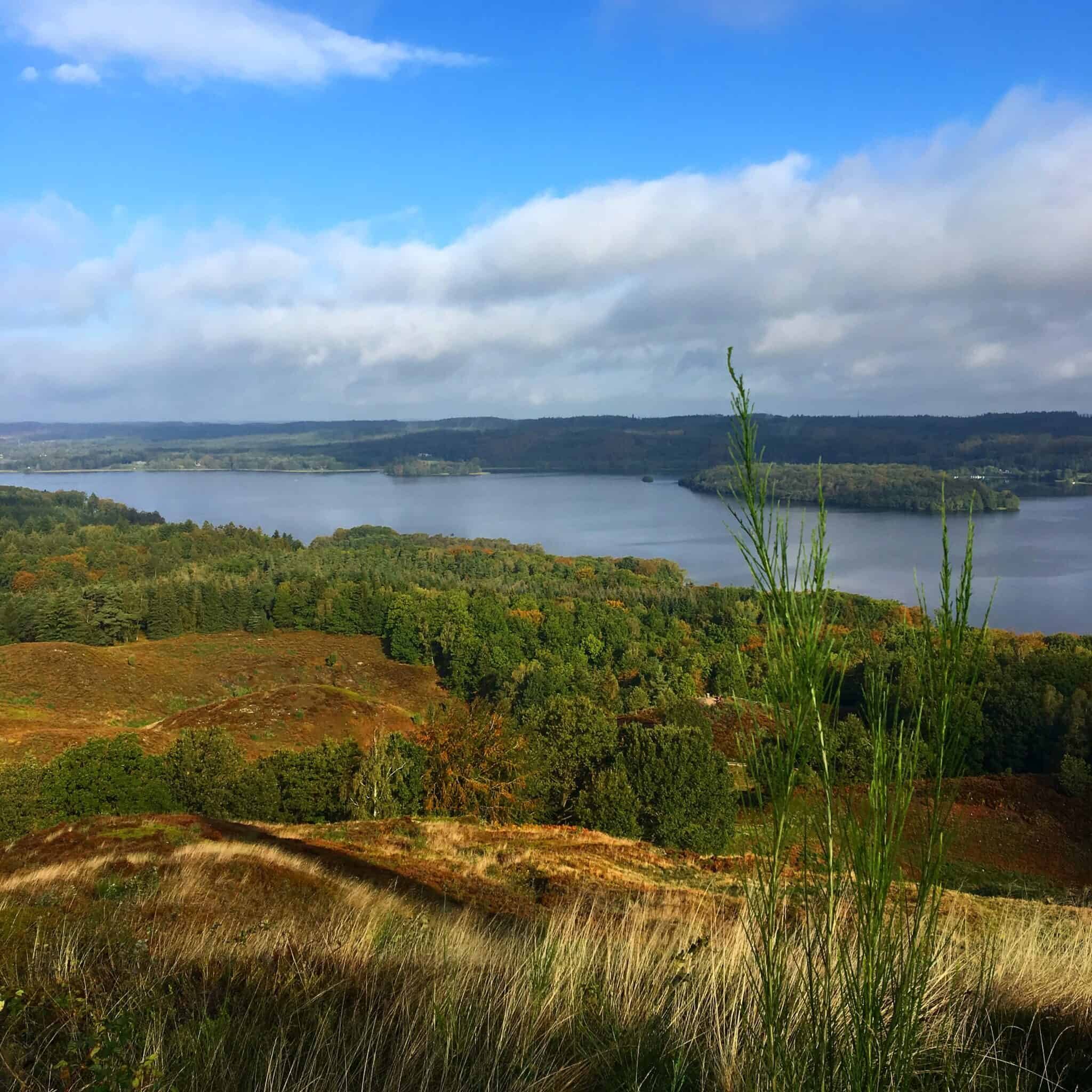 Landskab med sø, grønn skog og åbne marker under blå himmel ved Knudhule Badehotel.