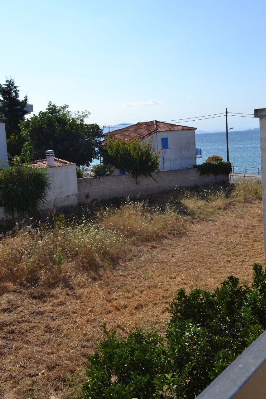 Feggeros Studios – Γκαρσονιέρες και Δυάρι στο Πευκί Βόρειας Εύβοιας, 30μ. από τη Θάλασσα - φωτογραφία 2