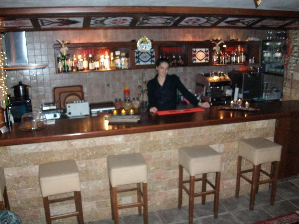 Ξενοδοχείο Δρύαλος – Παραδοσιακό Ξενοδοχείο 3 Αστέρων στις Μηλιές Πηλίου με Πισίνα, Jacuzzi και Τζάκι - φωτογραφία 6