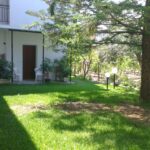 Digenis Studios – Ενοικιαζόμενα Διαμερίσματα στη Λυγιά Λευκάδας, 300μ. από την Παραλία - φωτογραφία 7
