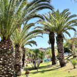 ABC Sweet Home - Studios και Μεζονέτες στον Άγιο Ιωάννη Κέρκυρας, 350μ. από την Παραλία - φωτογραφία 6