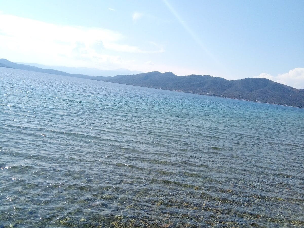 ΗΛΕΚΤΡΑ - ΦΙΛΕΛΛΗΝΩΝ  11, 34300  ΛΟΥΤΡΑ ΑΙΔΗΨΟΥ