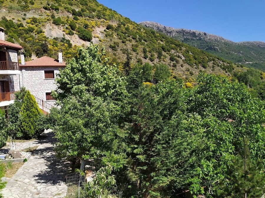 ΚΟΥΣΤΕΝΗΣ ΧΩΡΙΟ-KOYSTENIS VILLAGE