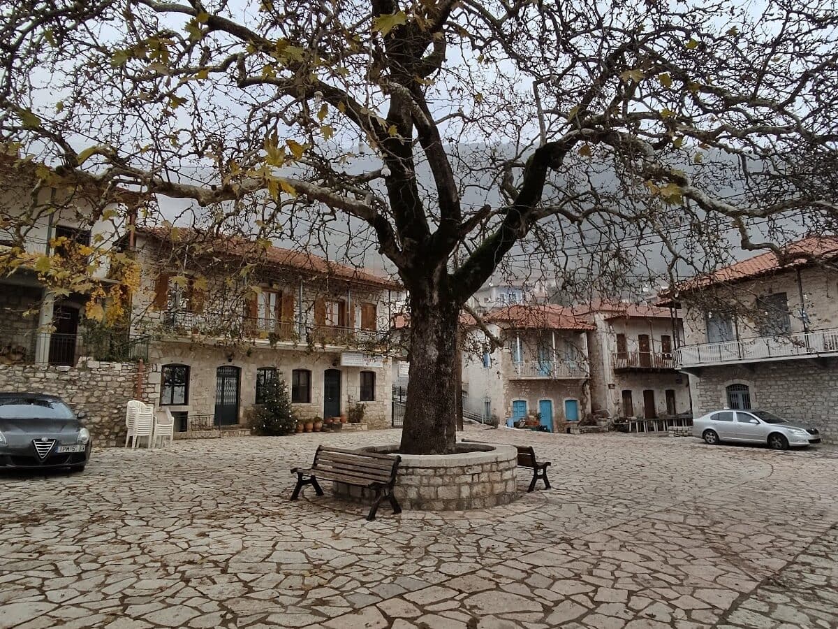 ΤΟ ΣΠΙΤΙ ΤΗΣ ΘΕΩΝΗΣ – THEONIS HOUSE - ΔΗΜΗΤΡΑ --, 22015 ΑΡΚΑΔΙΑΣ ΚΟΝΤΟΒΑΖΑΙΝΑ