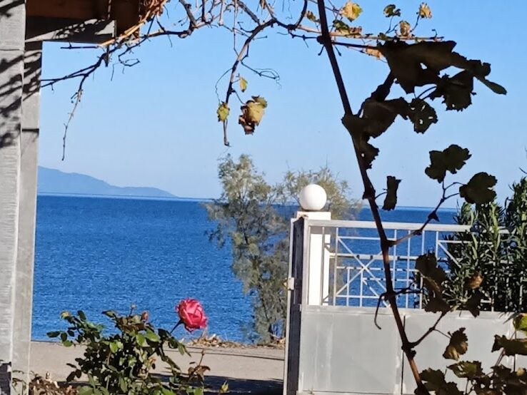 ΑΓΙΑΝΝΙΩΤΗ ΠΑΝΑΓΙΩΤΑ - ΑΓΚΑΛΗ ΟΙΚΙΣΜΟΣ ΨΑΡΟΠΟΥΛΙ 0, 34200  ΙΣΤΙΑΙΑ