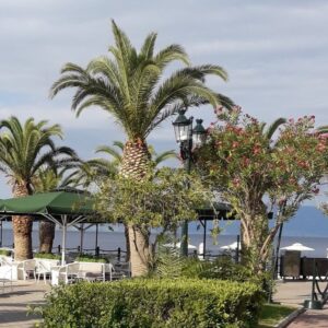 ΑΣΗΜΙΝΑ - ΟΜΗΡΟΥ 19, 34300  ΛΟΥΤΡΑ ΑΙΔΗΨΟΥ