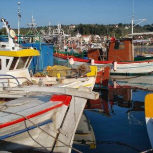 ISLAND - ΠΕΥΚΙ 0, 34200  ΙΣΤΙΑΙΑ