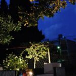 AGIOS NIKOLAOS - AGIOS NIKOLAOS 0, 34300 LOUTRA EIDIPSOU