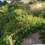 VIANA - FILELLINON 0, 34300 LOUTRA EDIPSOU