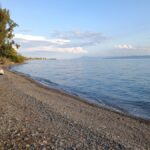 ΜΠΑΓΚΑΛΟΟΥΣ ΚΑΤΕΡΙΝΑ ΡΟΒΙΕΣ ΕΕ - ΡΟΒΙΑΙ 0, 34005  ΛΙΜΝΗ