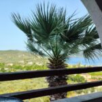 MARMARON ROOMS - AGIOKAMBOS 0, 34300 LOUTRA EDIPSOU