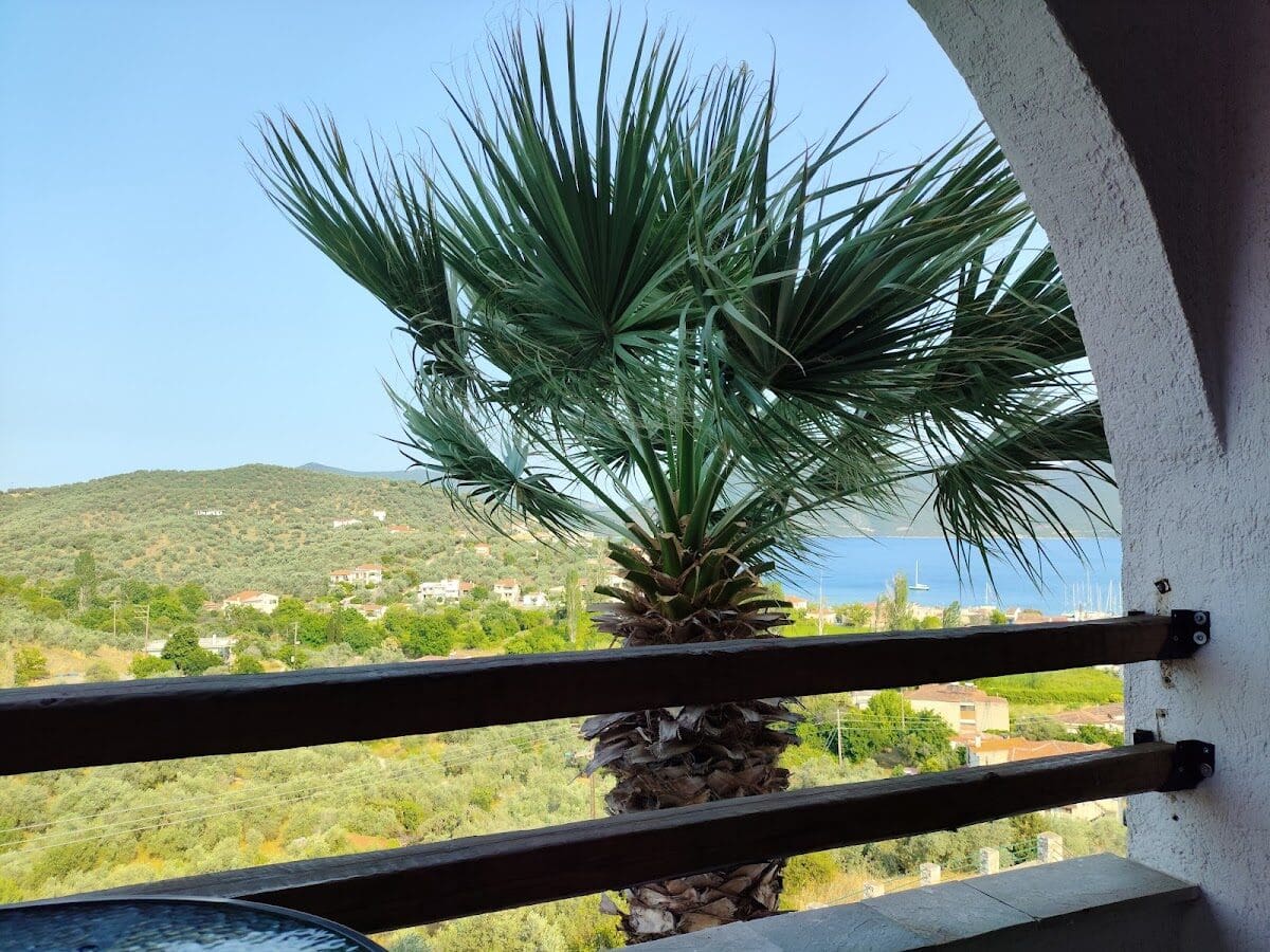 MARMARON ROOMS - ΑΓΙΟΚΑΜΠΟΣ 0, 34300  ΛΟΥΤΡΑ ΑΙΔΗΨΟΥ