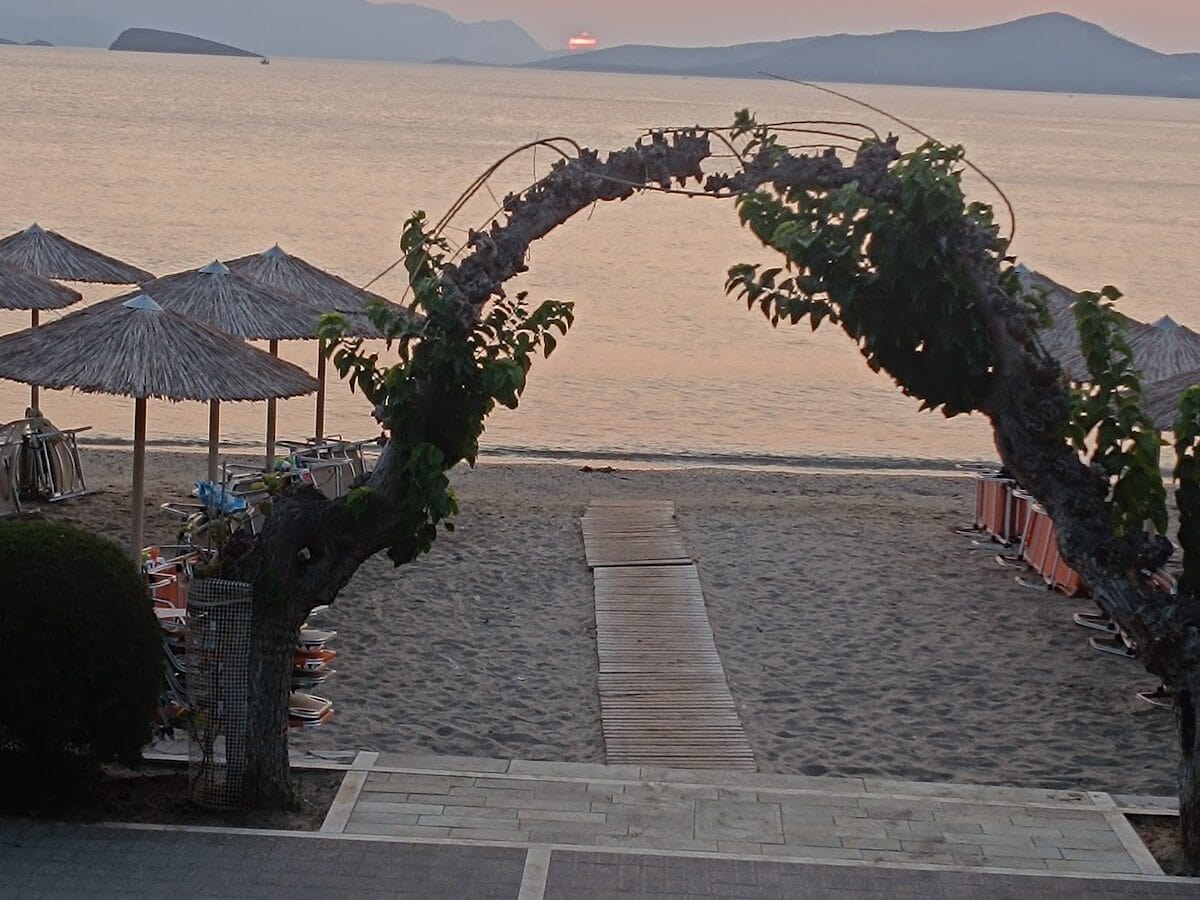 ΠΑΝΑΓΙΩΤΟΥ ΜΑΡΙΑΝΝΑ - Ν. ΣΤΥΡΑ ΕΥΒΟΙΑΣ 0, 34015 ΕΥΒΟΙΑ
