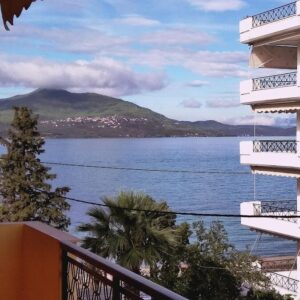 ΣΤΕΡΓΙΟΥ ΠΑΝΑΓΙΩΤΗΣ STUDIOS - ΗΡΑΚΛΕΟΥΣ ΚΑΙ ΠΑΠΑΔΙΑΜΑΝΤΗ 8, 34300  ΛΟΥΤΡΑ ΑΙΔΗΨΟΥ