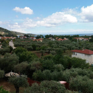ΝΕΣΤΩΡ ΔΙΑΜΕΡΙΣΜΑΤΑ - ΧΡΥΣΗ ΑΜΜΟΥΔΙΑ 0, 64004  ΘΑΣΟΣ