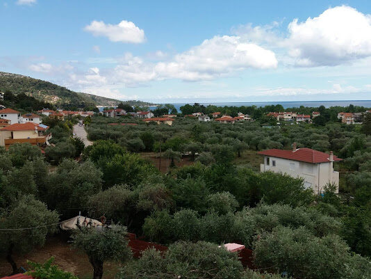 ΝΕΣΤΩΡ ΔΙΑΜΕΡΙΣΜΑΤΑ - ΧΡΥΣΗ ΑΜΜΟΥΔΙΑ 0, 64004  ΘΑΣΟΣ