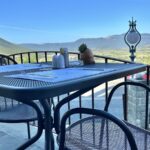 ΛΑΖΟΓΙΑΝΝΗ ΕΛΕΝΗ ΚΑΙ ΣΙΑ ΟΕ ΡΟΔΟΒΟΛΙ - ΝΑΠΟΛΕΩΝ ΖΕΡΒΑ 32, 44100  ΚΟΝΙΤΣΑ